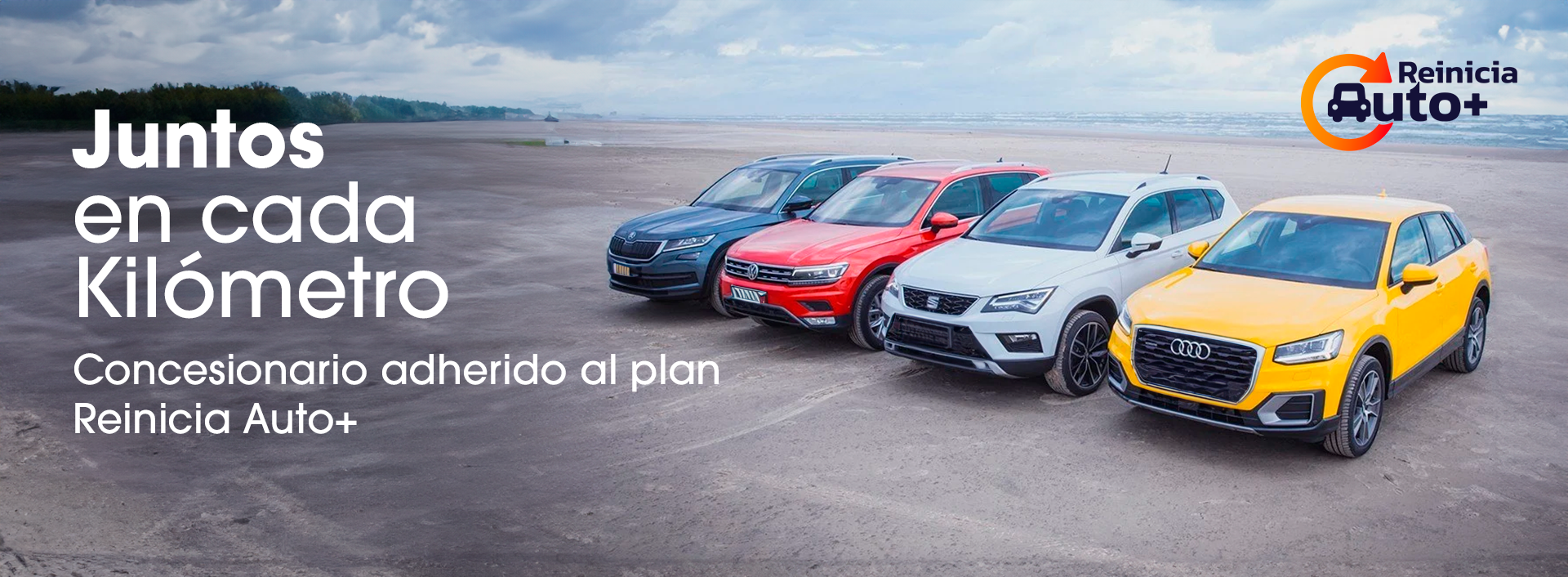 Reinicia Auto+ Sealco